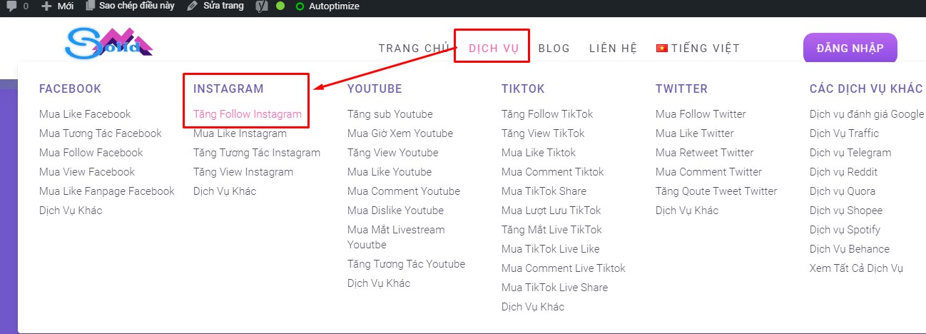 Dịch vụ buff follow Instagram